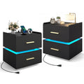 ELLEGNT 2 PCS LED Bedside Table with Charging Station, 2 Storage Drawers Nightstand, Black